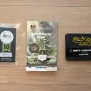 Sativa Grow