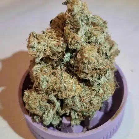 Mental Rainbow F1 Fast Version