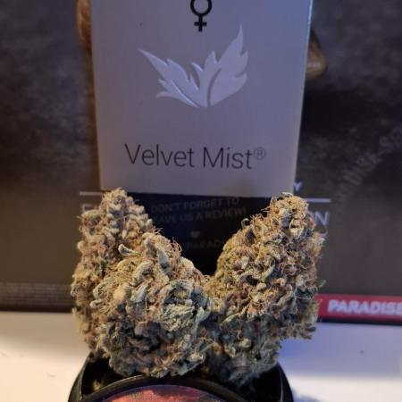 Velvet Mist