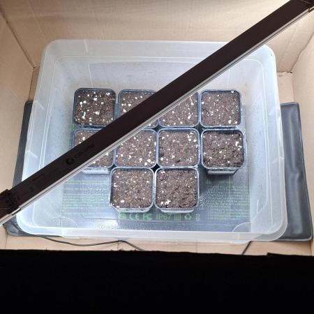 Eternity Grow Cup 26'