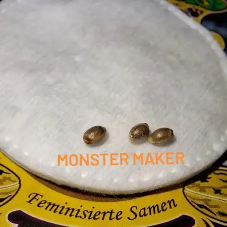 Monster Maker