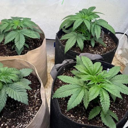 Time for Heavy Hitters