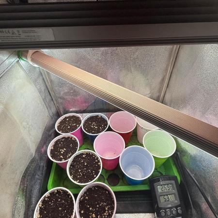 All about Terps