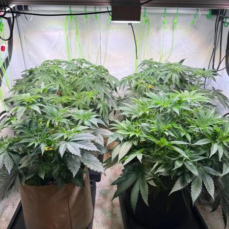 Time for Heavy Hitters