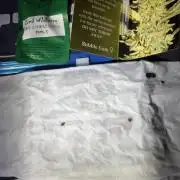 Just for Fun 40x40grow