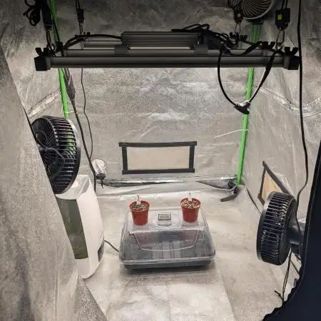 Expert seeds run