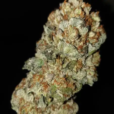 London Mint Cake