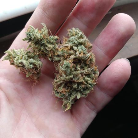 Micro grow