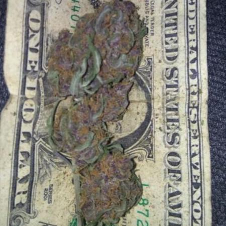 Fast buds #2 autoflowers