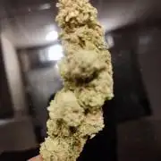 1 Pellezino cookies roomsize 0.35m²