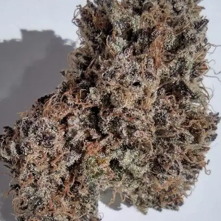 Growing Cookies 