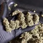 Zkittlez Cake x Chillz #8