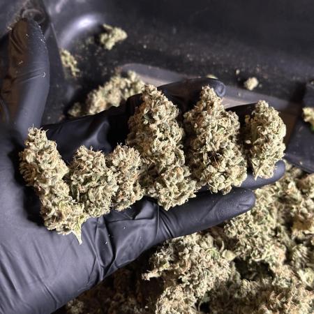 Zkittlez Cake x Chillz #8