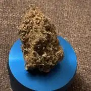 Star Punch 🥊 (Hybrid)