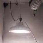 California Haze Humboltd Company