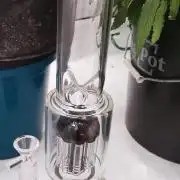 California Haze Humboltd Company