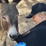 California Haze Humboltd Company