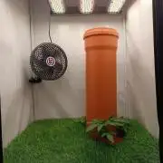 Let's Fucking Grow