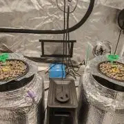 Fastbuds Photo Hidroponics