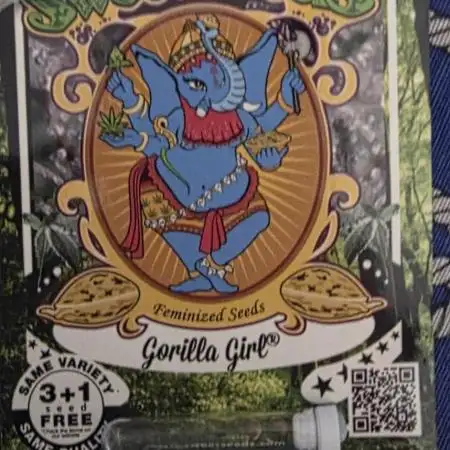 Gorilla Girl