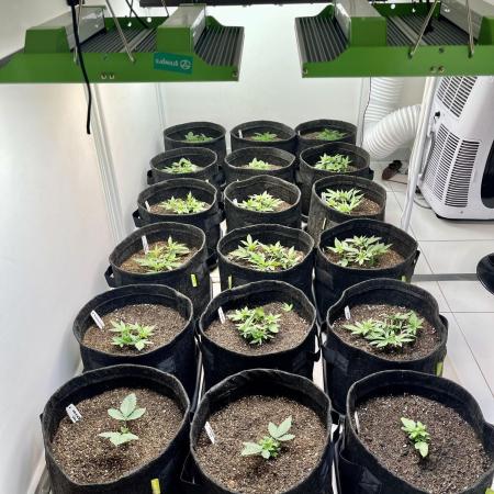 GroW_04_25