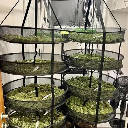 GroW_04_25