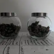 Special Kush #1