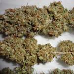 (CBD) Royal Highness