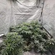 Big test only women p.2