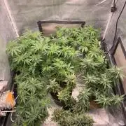 Big test only women p.2