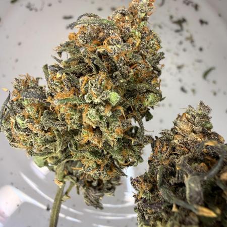 KUST x Blueberry F1