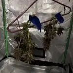 Spring 2025 Outdoor Autos