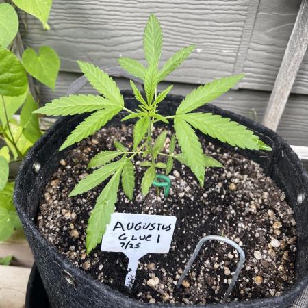 Summer 2025 Outdoor Autos