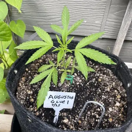 Summer 2025 Outdoor Autos