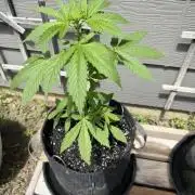 Outdoor Spring 2026