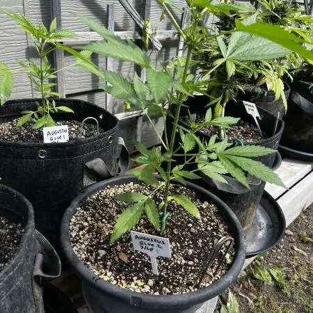 Summer 2025 Outdoor Autos