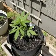 Outdoor Spring 2026