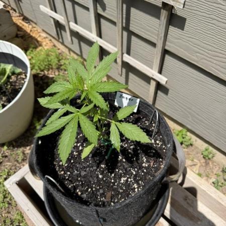 Outdoor Spring 2026