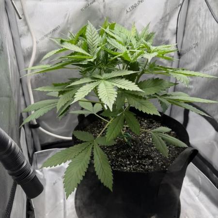 Summer 2026 Indoor