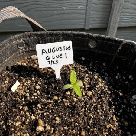 Summer 2025 Outdoor Autos