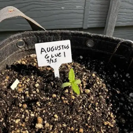 Summer 2025 Outdoor Autos