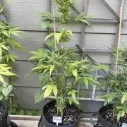Outdoor Spring 2026