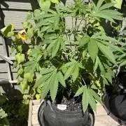 Summer 2026 2nd Outdoor