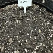 Outdoor Spring 2026