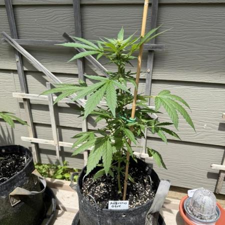 Outdoor Spring 2026