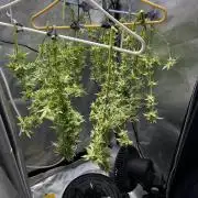 Indoor Winter 2025