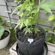 Summer 2026 2nd Outdoor