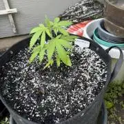 Summer 2026 2nd Outdoor