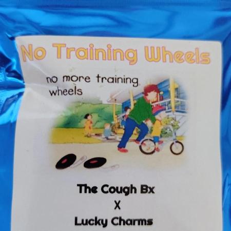 No Training Wheels by TerpFi3nd