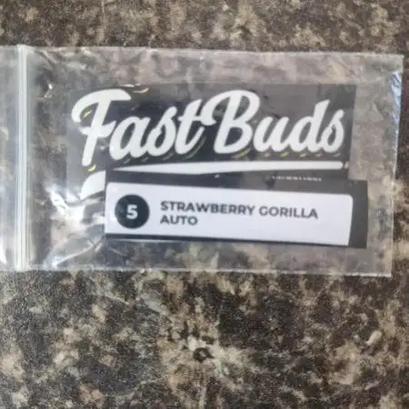 Fastbuds- Strawberry Gorilla Auto